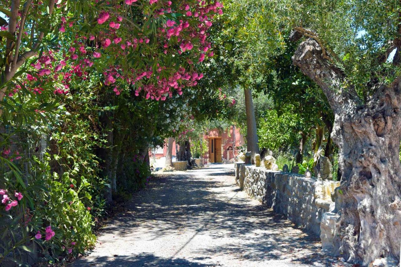 Avocado Villas חאניה מראה חיצוני תמונה
